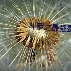 AG真人平台(中国)官方网站
