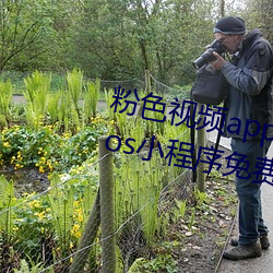 粉色(sè)视频app下载安(ān)装无限看丝瓜(guā)ios小程序免费:让(ràng)人着迷让