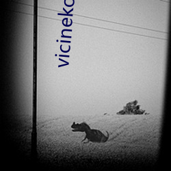 vicineko资源网盘