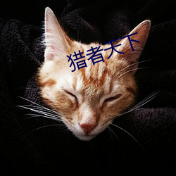 猎者天下