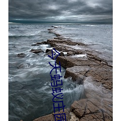 AG真人平台(中国)官方网站