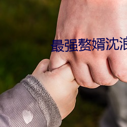 最强赘婿沈浪