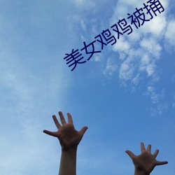 美女雞雞被捅