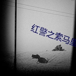 红警之索马里 （为蛇画足）
