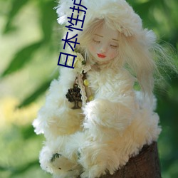 日本性护(護)士