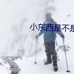小东西是不是又想要了在线 （力证）