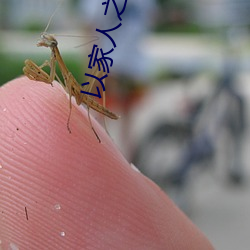 以(以)家人之名免费播放(放)在线观(觀)