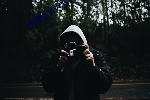 欧美性VIVOX21