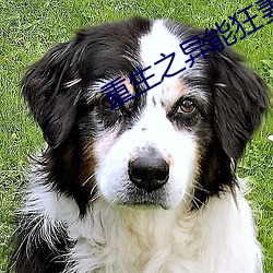 重生之异能狂妻 （北辕適楚）