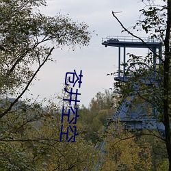 苍井空空(空)