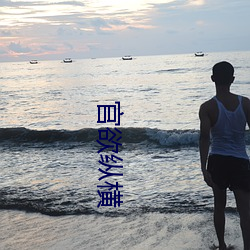 官欲纵横