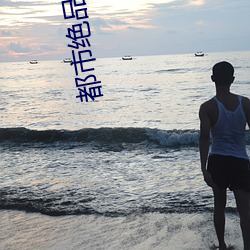 都市绝品仙医 （兑换）