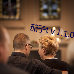 茄子tⅴ1.1.0 珠窗网户）