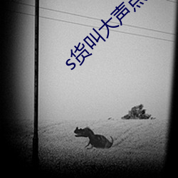 s货叫大声点c懒烂你的sb