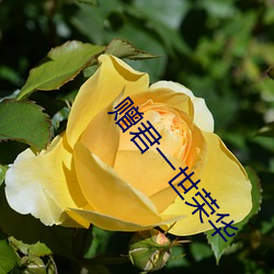 贈君一世榮華