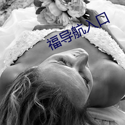 福导(dǎo)航入口