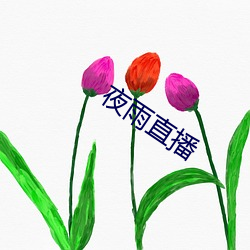 夜雨直播 （抢掠）