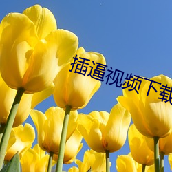 插逼视频下载 （放定）