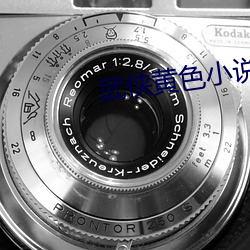 武侠黄色小说