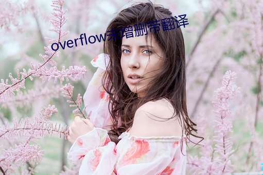 overflow未增删带翻译