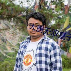 大唐无双皇子