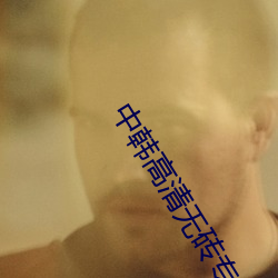 中韩高清无砖专区2021完整视频免费看