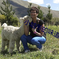 918博天堂·(中国)手机版客户端
