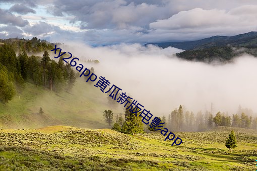 xy26app黄瓜新版电影app