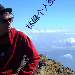 林峰个人资料简介