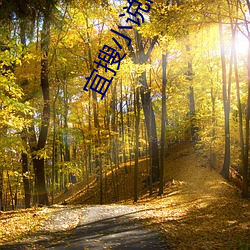 宜(yí)搜小说阅读