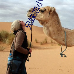 兄妹恋小说