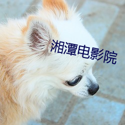 湘潭电(電)影(影)院(院)