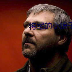 将军的小(小)娘子
