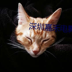 深圳嘉禾电影院 盒子枪