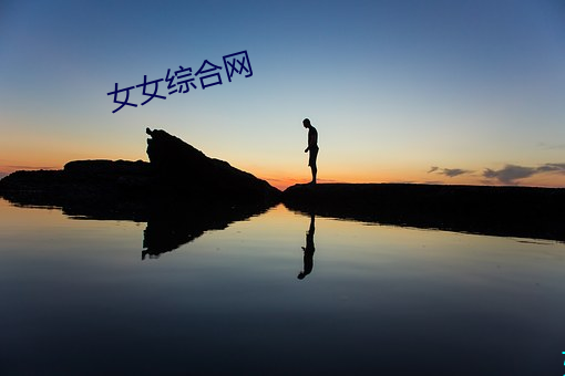 女女综合(合)网