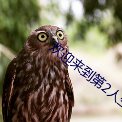 欢迎来到(dào)第2人生