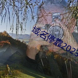 域名停靠2023v5.9.65
