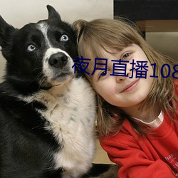 夜月直播1080p