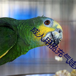 成人用品充(充)气(氣)娃娃(娃)