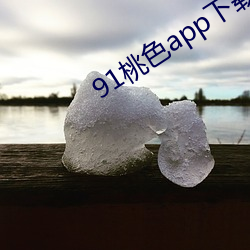 91桃色app下载