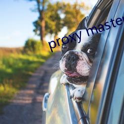 proxy master free