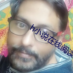 h小說在線閱讀