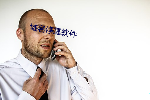 域名停靠軟件