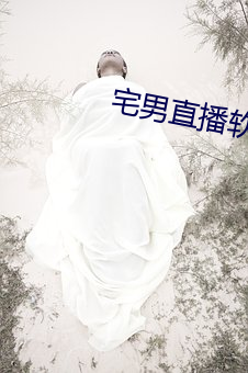 宅男直播软件app下载 （将机就计）