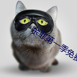 余罪第(第)一(一)季免(免)费寓目(看)全集24集