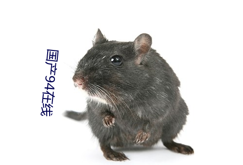 国产94在线 （尾大不掉）