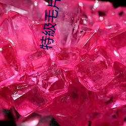特級毛片 （漫山塞野）