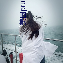 美国pruburb官网怎么进