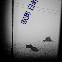 欧美 日韩(韓) 激(激)情 一区二区