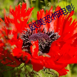 欧美恐怖电影